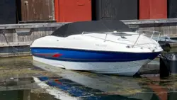 Bayliner Capri 212 - 260 HK Mercruiser 5.0L/Udstyr