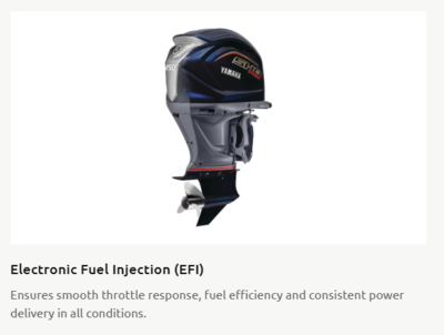 Yamaha 250 HK V MAX SHO  - 4 Takt Fabriksny