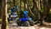 YFZ50 Sport